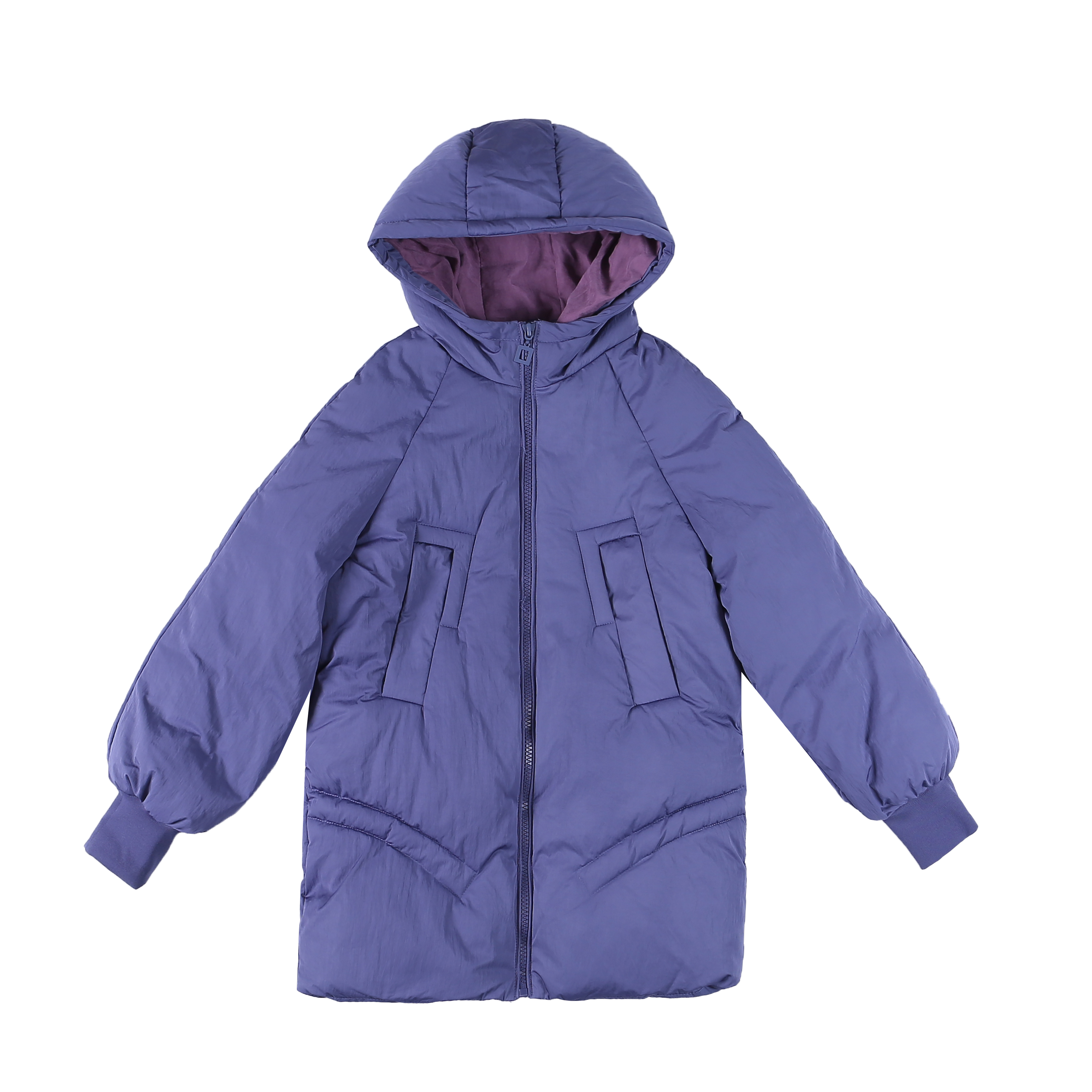 Veste En Coton D Été Femme Grande Taille Capuche Hiver Bleu Manteau